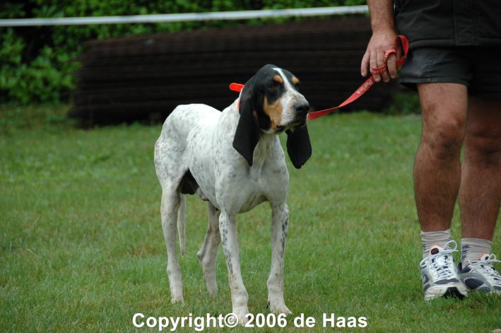 Oloron 079.jpg